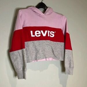Levi's Cropped Hoodie